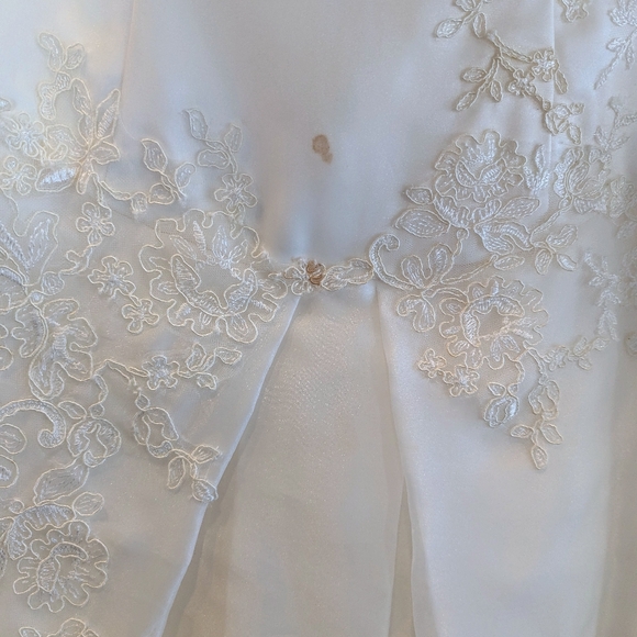 Vera Wang Wedding Dress - Picture 9 of 9